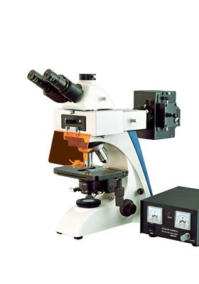 China Unendlichkeits-optisches aufrechtes Fluoreszenz-Mikroskop binokular/Trinocular-Kopf fournisseur