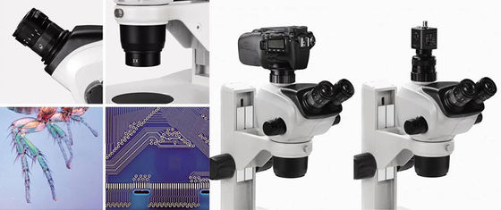China Binokulares Mikroskop-verschiedene Zusätze lauten Summens Trinocular Stereoschließen Funktion ab fournisseur